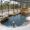 Ogden Pool
