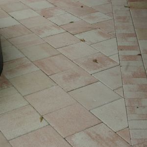 Decks 27